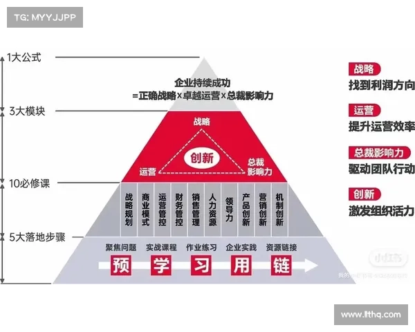 彩任作为核心推动力，探索多元化发展路径与创新驱动下的新型企业成长模式